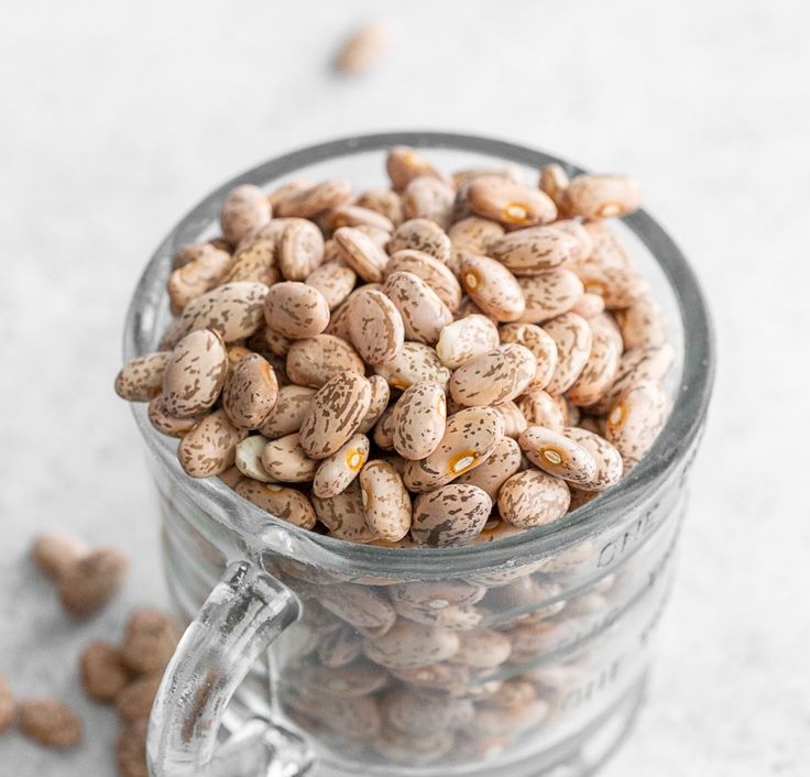 Bulk Iranian Pinto Beans Supply for Military Bases and Armed Forces Food Stockpiles; Wholesale Pricing & Export Documentation